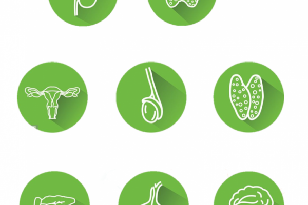 teaser 3 copy 768x830 1