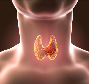 Cele mai frecvente afecțiuni ale glandei tiroide