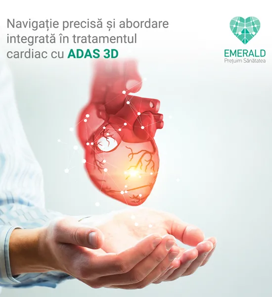 emerald articol blog 1